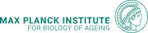 Max Planck Institute
